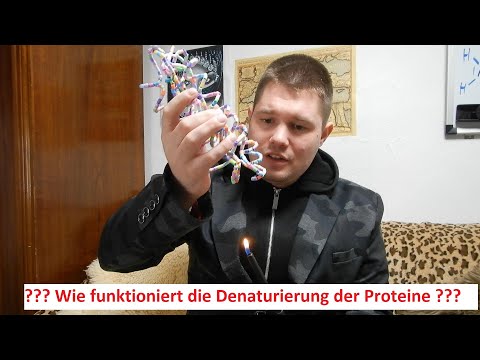 Video: Was bedeutet es, dass ein Protein denaturiert ist und wie kann es denaturiert werden?