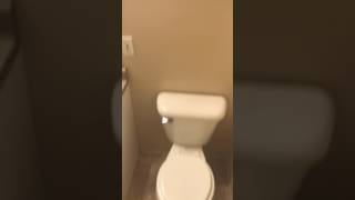 Studio Apartment 423 Sqft