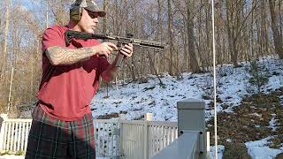 Brigade ar9 with partisan disruptor trigger
