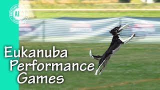Eukanuba Performance Games