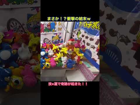 クレーンゲーム 奇跡の連続釣り！ たべっ子どうぶつ ぬいぐるみ 衝撃映像 #shorts