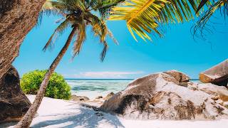 Bossa Nova Summer Escape - Smooth Jazz With Wave Noise For Relax