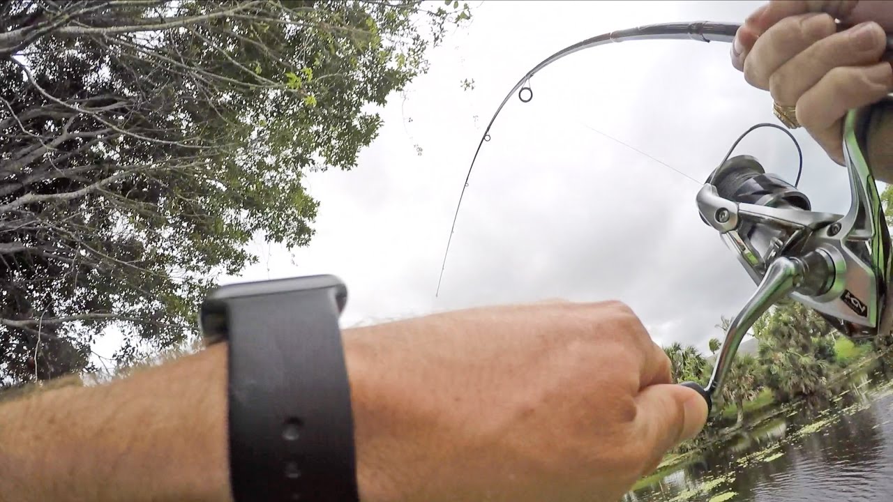 Fishing Small Swimbaits in Canals