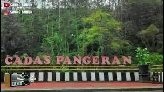 mg yana asup kana tv