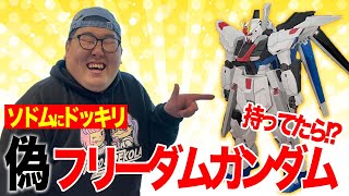 【ドッキリ企画(前編)】偽フリーダムガンダムを作ります！【機動戦士ガンダムSEED】