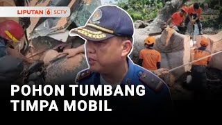 Download Lagu Pohon Tumbang Timpa Mobil MP3