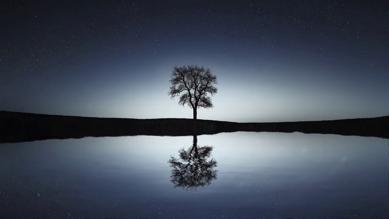 Marius Zetea - Drumul spre casă camera iphone 8 plus apk