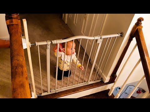Tipps zur kniffligen Montage des Toddleroo-Türschutzgitters