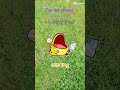 we need a book frog for knolig and a knife frog to protect us🐸sub to goin 🐸