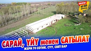 видео: 70 сотик ЖЕРИ менен САРАЙ сатылат ~ Жашаганга үйү, кызыл китеп, суу, свет бар картинка: 70 сотик ЖЕРИ менен САРАЙ сатылат ~ Жашаганга үйү, кызыл китеп, суу, свет бар