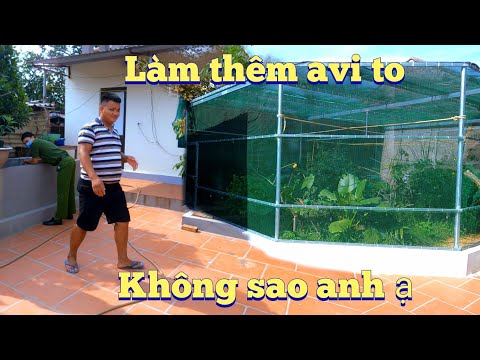 Dự Án Làm Thêm Avi To Nữa Và Câu Chuyện Vì Sao Công An Vào Nhà Em Nhân / Quế Nghịch