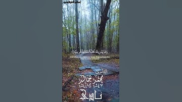 وما يدريك لعل الساعة قريب بصوت القارئ محمد خالد نادي #quran #islam #القرآن_الكريم