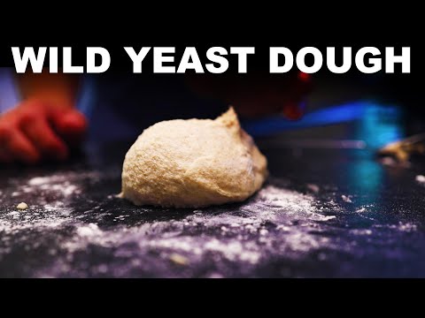 Video: How to Grow Yeast: 14 Steps (with Pictures)