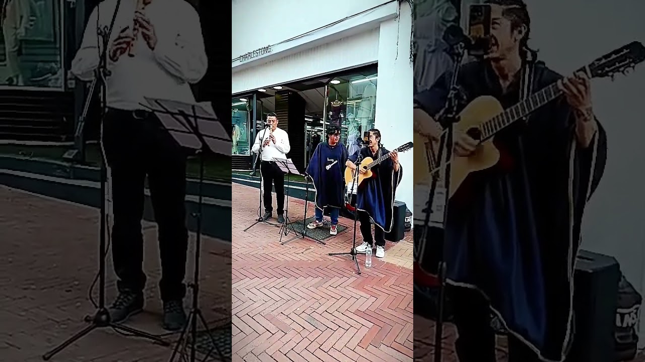 Toro Barroso y Banda de Peña Herrera 