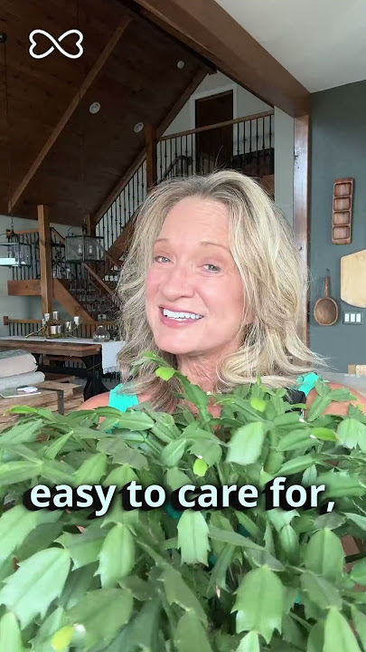 THIS Cactus Won't Hurt Your Cat 🌵