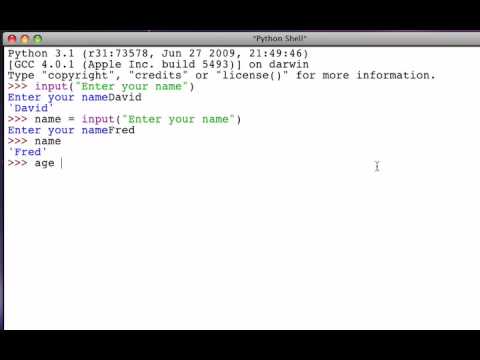 Interactive Input