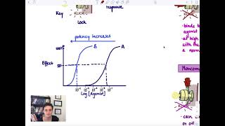 Brandl's Basics: Potency and Efficacy