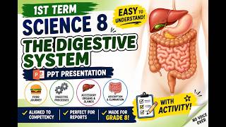 Grade 8 Science PowerPoint Presentation | Digestive Processes, Accessory Organs, and Food Journey