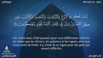 Sourate An-Nahl | Wadi Al-Yamani (16) سورة النحل | وديع اليمني