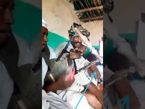 وتر البطانه ووتكم