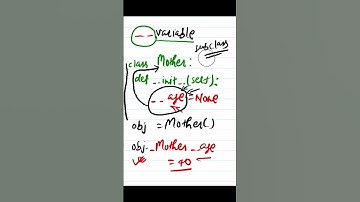 Python - 010 : Use of double Pre underscore with variable #python #pythonprogramming #pythontutorial