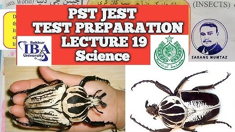 PST JEST TEST PREPARATION LECTURE 19 | Science Class 5 Units 6 to 8