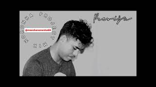 Download Lagu PRESIJA_HANANU FURAK HO LiRIK HUSI  GERSON OLIVERA COVER ANDRE ARIF APIC DEMAIS MP3