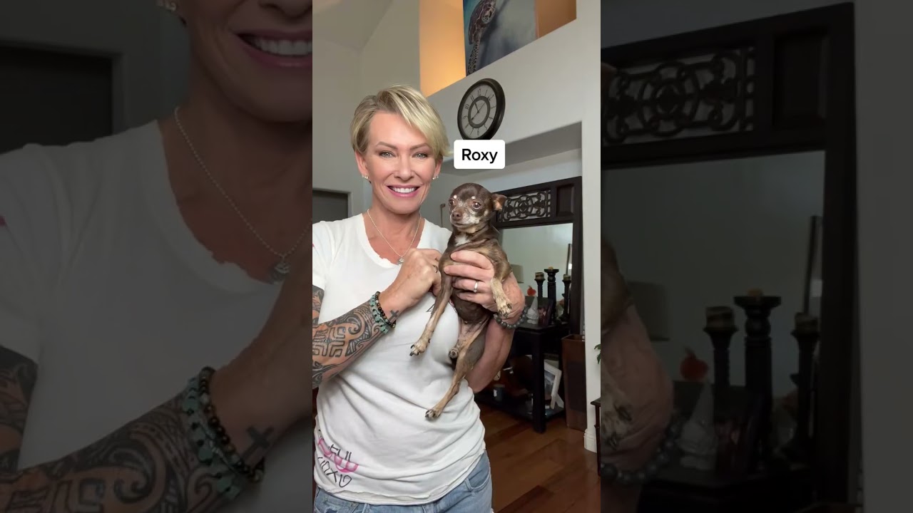 No mental issues here!. #animals #americangladiators #ice #dogs #cats