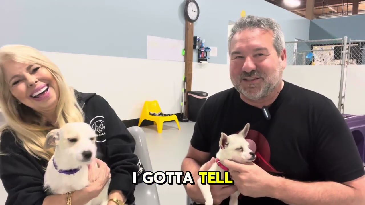 Oregon Dog Rescue with Barbara Roach