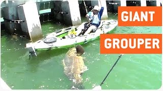 Huge Grouper Fish Caught by Cape Coral Fisherman On Kayak