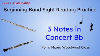 Flash Cards: Flute/Clarinet Sight Reading Level 1