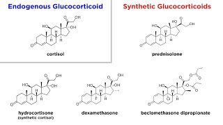 Glucocorticoids: Mechanisms and Side Effects