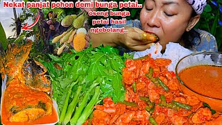 Download Lagu NEKAT PANJAT POHON CARI BUNGA PETAI UNTUK DIMASAK ,RASANYA DILUAR NURUL 🤤🤣‼️ MP3