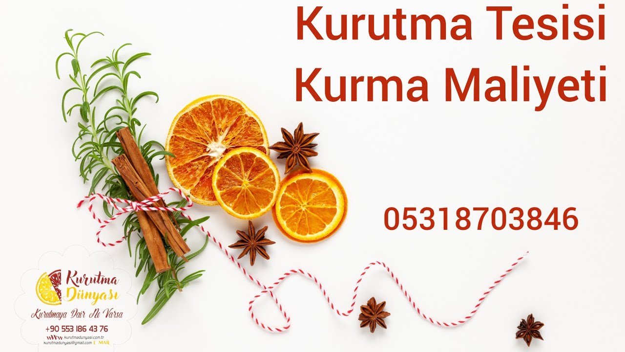 Kurutma Tesisi Kurma Maliyeti