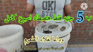 دود السبلة بدون سبلة وداعا لشراء الطعوم ( السمسم)