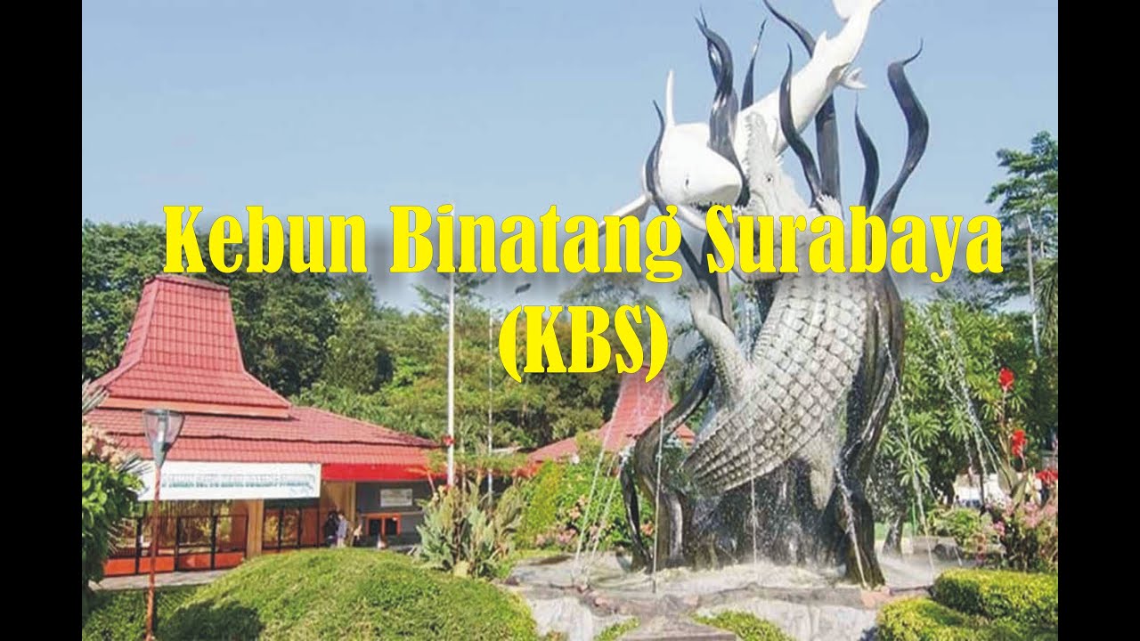 Kebun Binatang Surabaya (KBS) Part 1