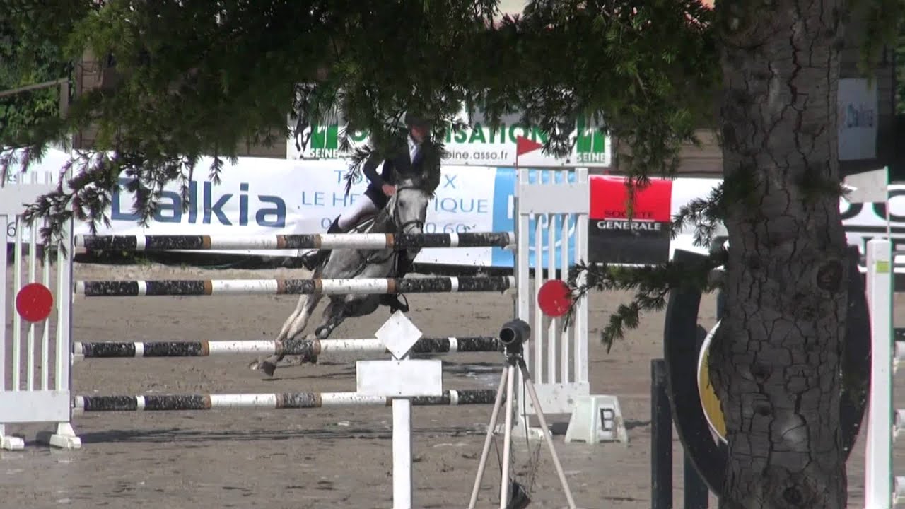 Regina de Chamant (webstallions.com)