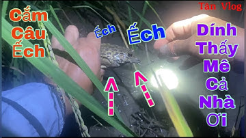 Cắm câu Ếch gặp Trời mưa cắm ít dính nhiều | Fishing Frog | Tân Vlog