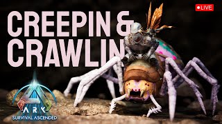 [Official] Creeping & Crawling Araneo TLC + Burrowbuck | Giveaway 