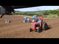 Berwick st john country fayre 2016 working tractors