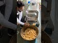 Panipuri Mini Fryer Machine | Automatic Panipuri Fryer | Bullet Panipuri Frying Machine