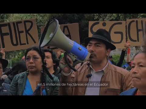 Solidaridad con Palo Quemado, Las Pampas y la resistencia a la minería