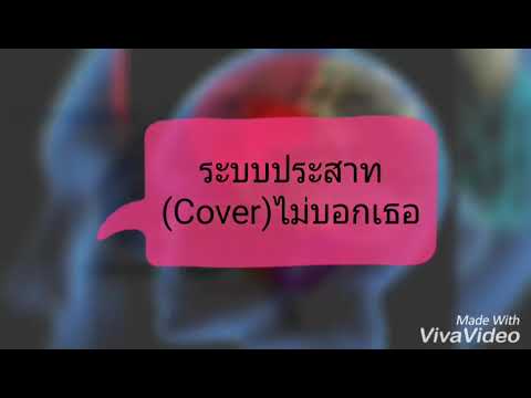 ระบบประสาท[Cover]ไม่บอกเธอ-Bedroom Adio