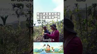 登山遇到可愛阿嬤 不過好像對外國人有些誤會？🤣｜上山下海過一夜 #shorts #雷艾美 #登山 #阿嬤 #外國人