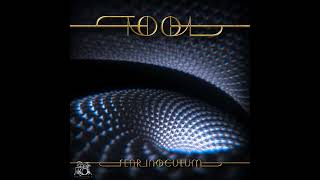 TOOL - Chocolate Chip Trip [Drumless]