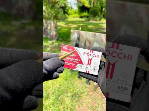Velocity Test: Fiocchi Sierra MatchKing 69 grain .223 (2,850 fps)