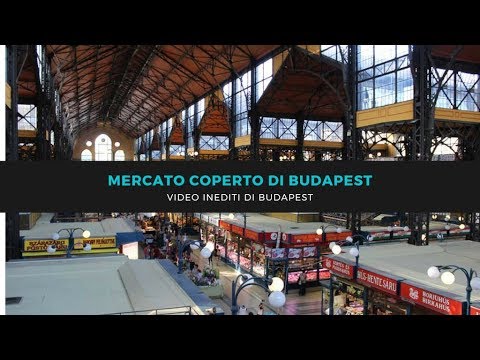 Video: Il grande mercato coperto di Budapest