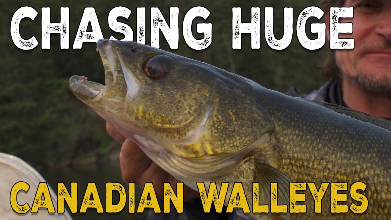Unreal Multi-Species Fishing in Northwest Ontario