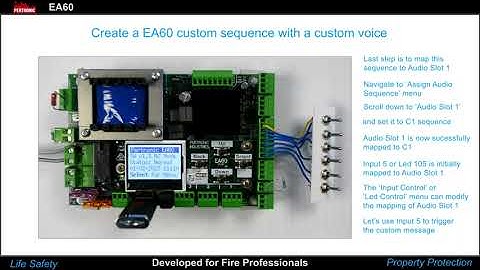 Creating a EA60 amplifier custom sequence with a custom voice