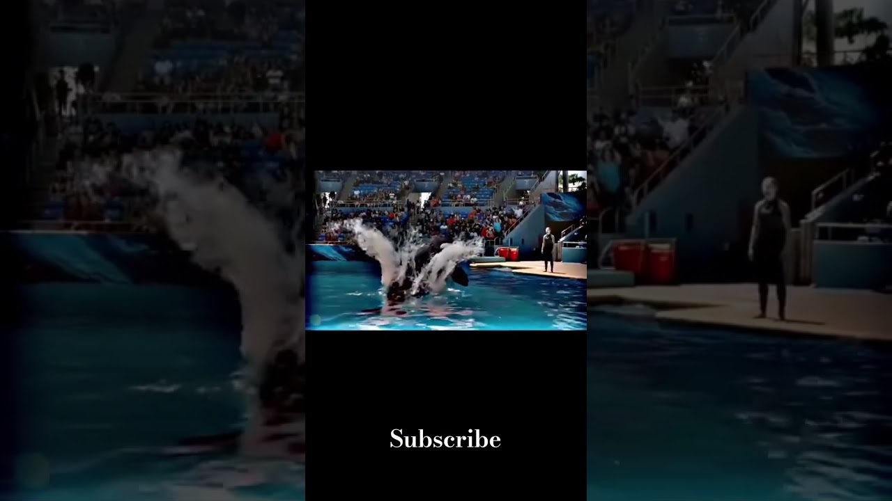 Jessica RIP 😭 💔 Incident 